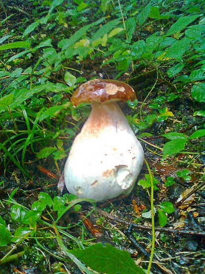 Dnešný fešáčik...