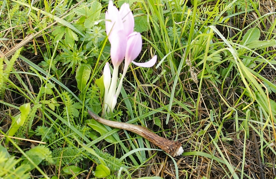 Septembrový fešáčik...