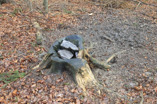 Starý ale kvalitne navštevovaný.....