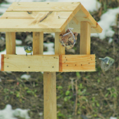 Prvé návštevníčky....