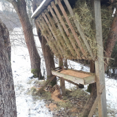 Doplnení