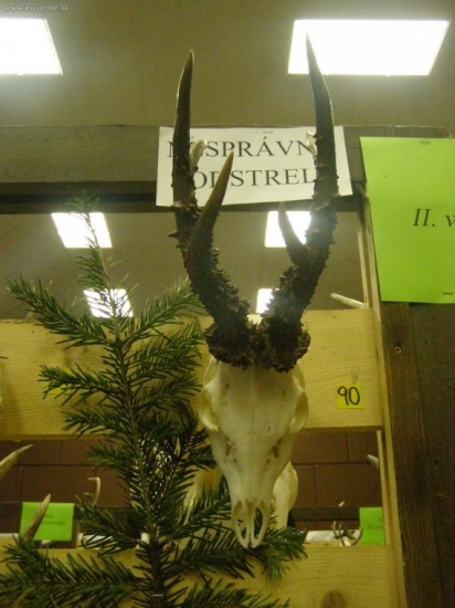 výstava orava HRUŠTÍN