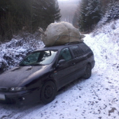 ..ked nie je 4X4, tak si treba inak poradiť