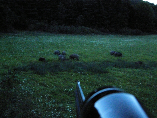 Dnes Hubert potešil