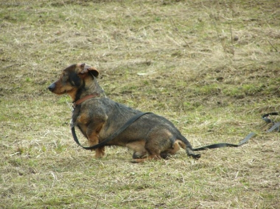 Dnes som dostal od PZ nového kamaráta:)