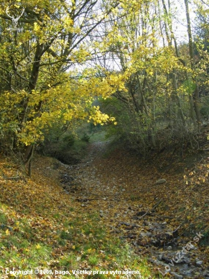 Jesenné zátišie