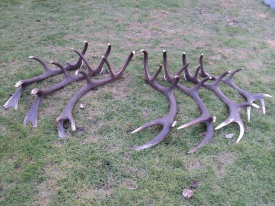 již čtvrtý rok posobě