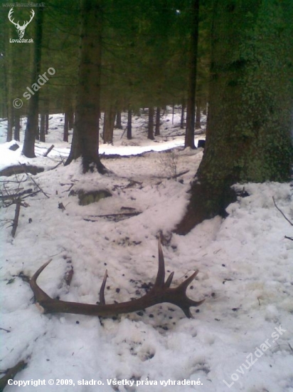 kamarád Šumava