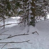 kamarád Šumava-2