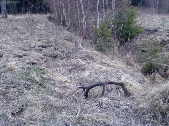 druhý