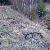 druhý
