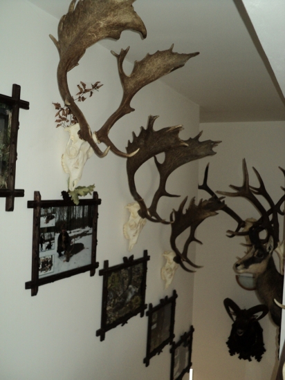 U každé trofeje vzpomínkové foto