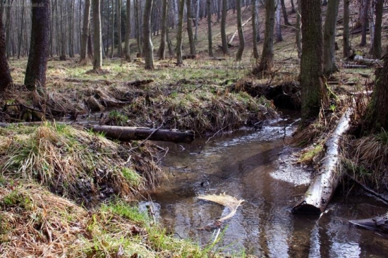 krásné foto od kamaráda