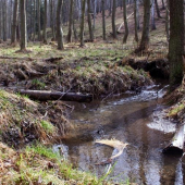 krásné foto od kamaráda