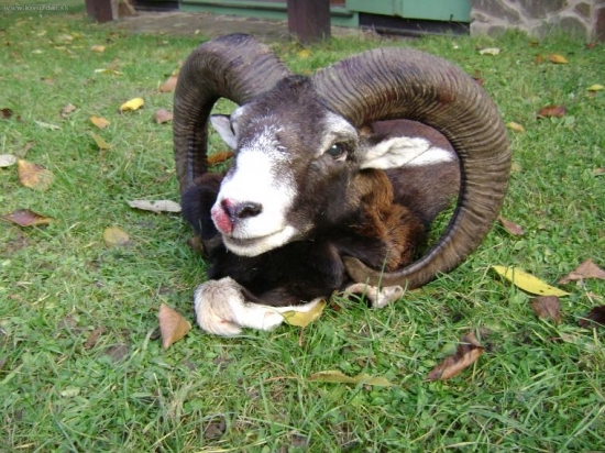 Kamarádi ze Slovenska na Křivoklátě