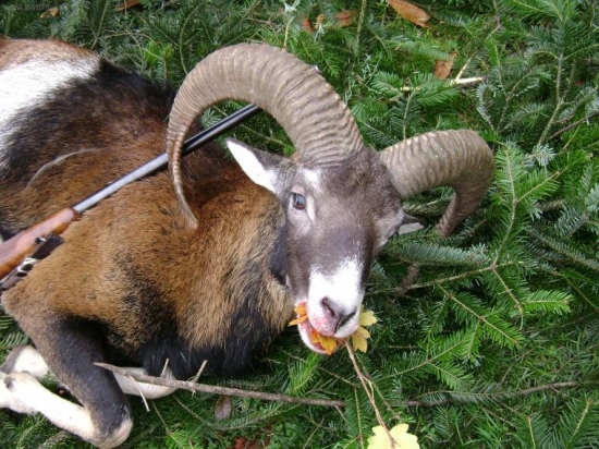 Kamarádi ze Slovenska na Křivoklátě