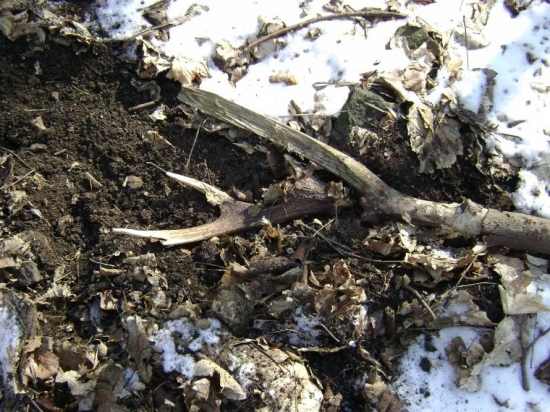 prasata poodkryla krásu