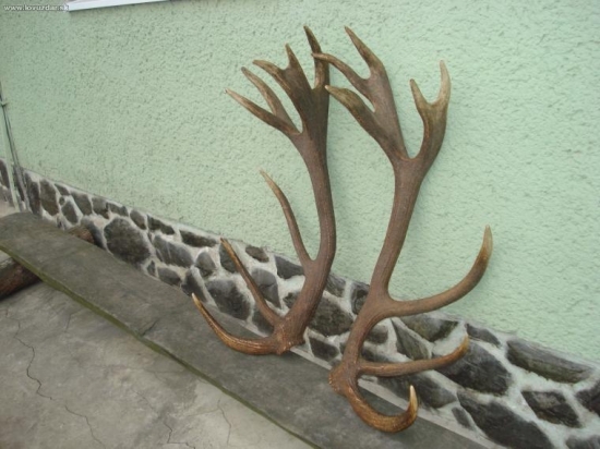 228 b, váha 9,30 kg