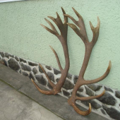 228 b, váha 9,30 kg