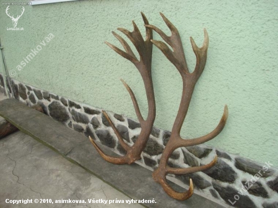 228 b, váha 9,30 kg