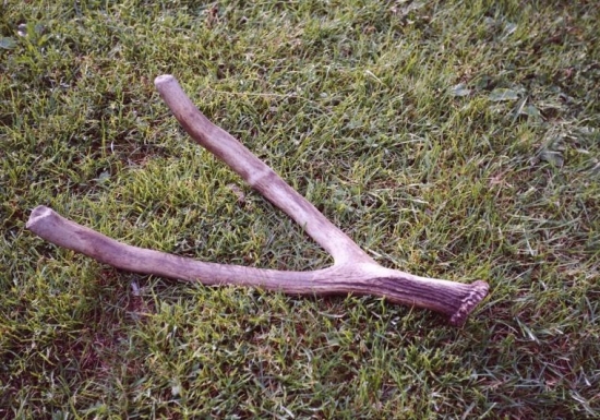 rarita