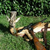potešil