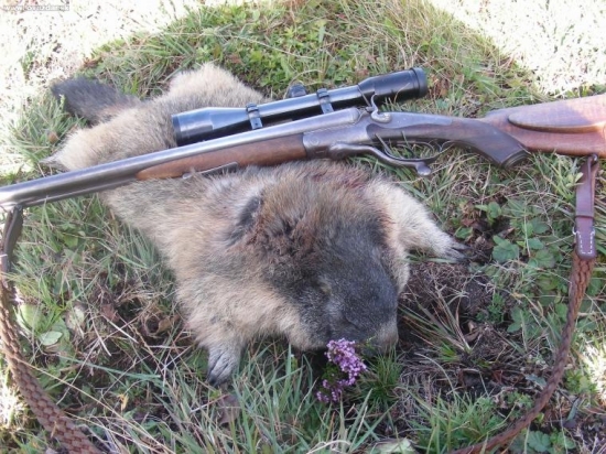 darcek k narodeninam