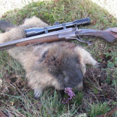 darcek k narodeninam