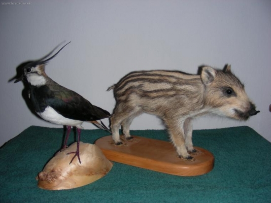 preparaty