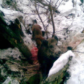 Agar - predosly vrh mojej Diany