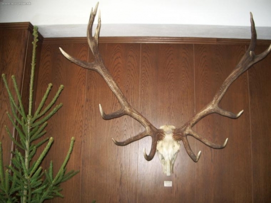 CHPO Poľana - seminár k jelenej zveri