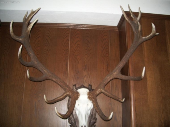 CHPO Poľana - seminár k jelenej zvari