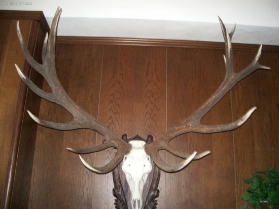 CHPO Poľana - seminár k jelenej zveri