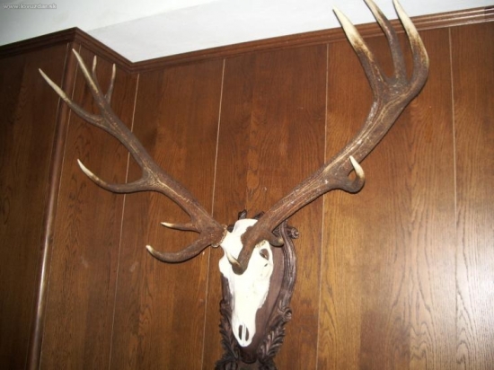 CHPO Poľana - seminár jelenej zveri