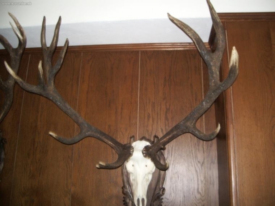 CHPO Poľana - seminár k jelenej zveri