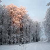 Raz cestou do práce