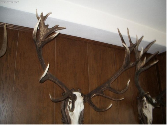 CHPO Poľana - seminár k jelenej zveri