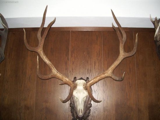 CHPO Poľana - seminár k jelenej zveri