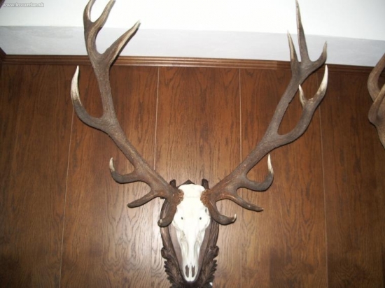 CHPO Poľana - seminár k jelenej zveri