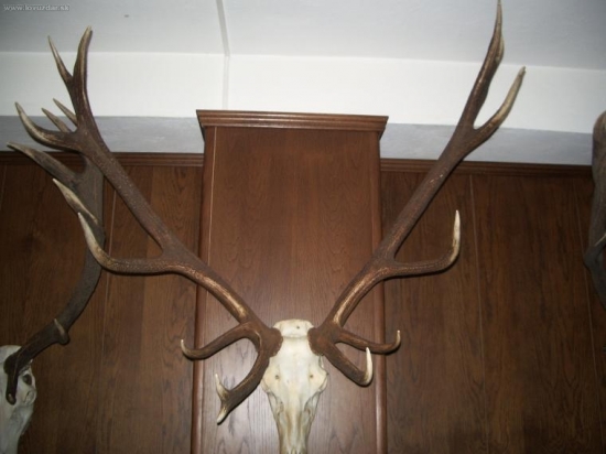 CHPO Poľana - seminár k jelenej zveri