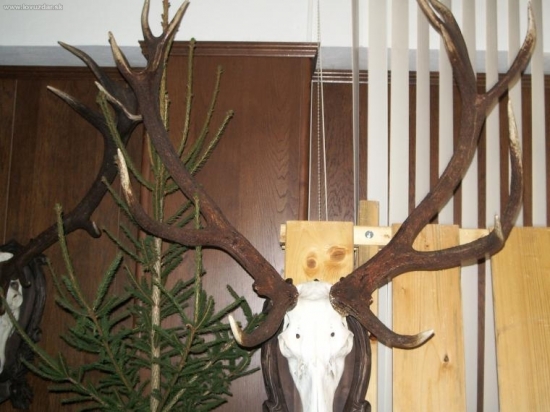 CHPO Poľana - seminár k jelenej zveri