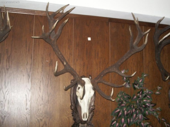 CHPO Poľana - seminár k jelenej zveri