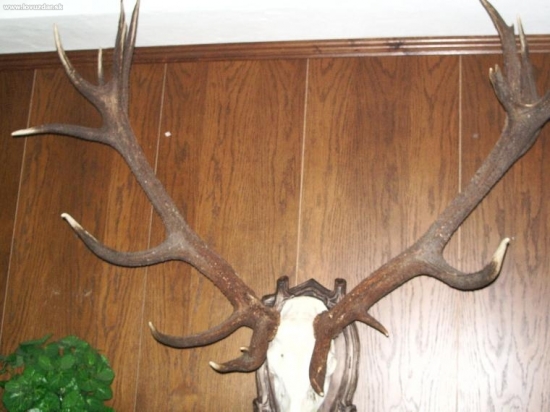 CHPO Poľana - seminár k jelenej zveri