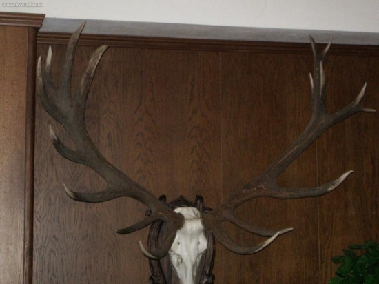 CHPO Poľana - seminár k poľovnej zveri