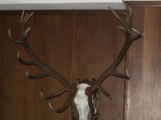 CHPO Poľana - seminár k jelenej zveri