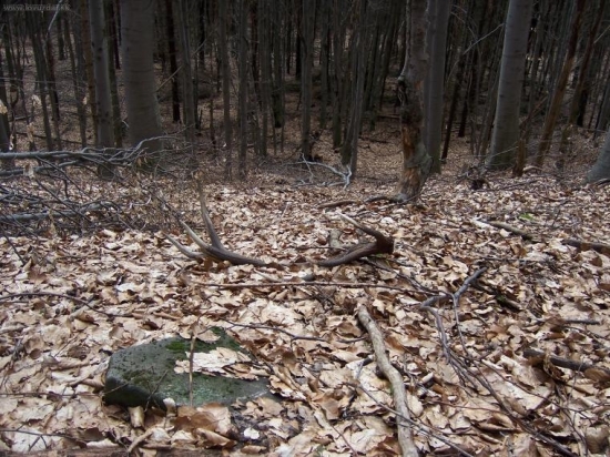 Prvý pohľad je fakt nádherný