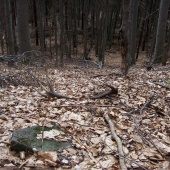 Prvý pohľad je fakt nádherný