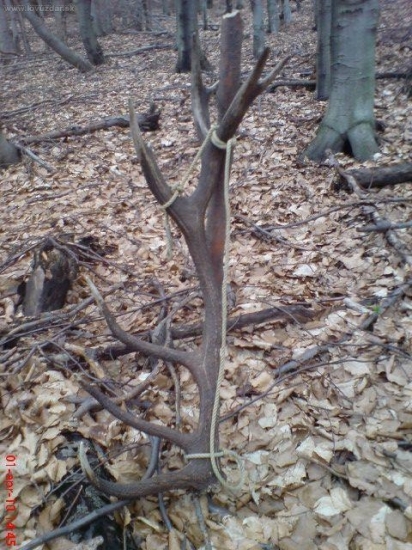 ID60367 - trocha inak