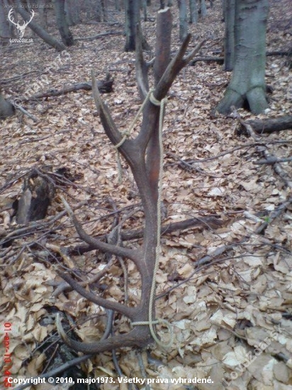 ID60367 - trocha inak