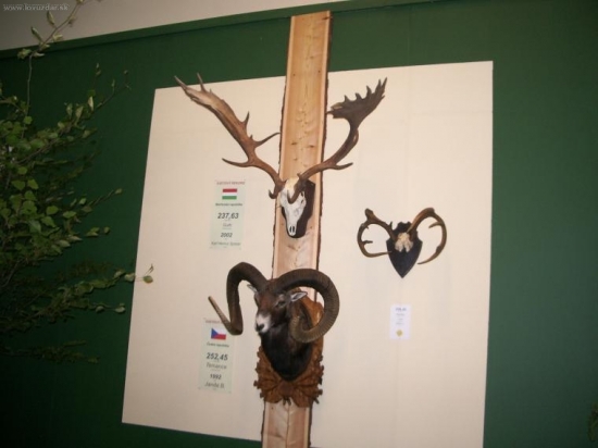 Svetové rekordy - 2005